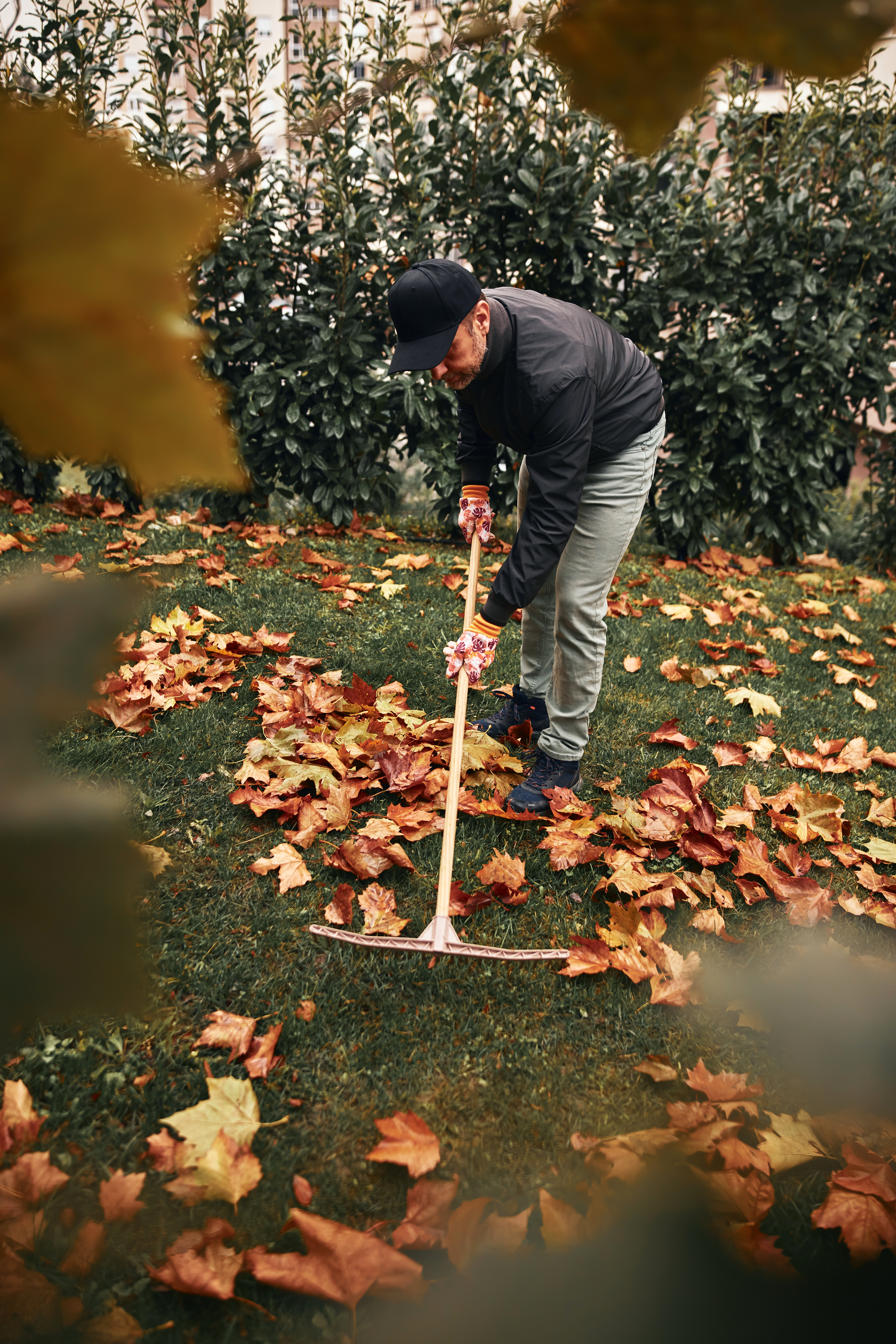 Man cleaning garden from fallen autumn leaves.