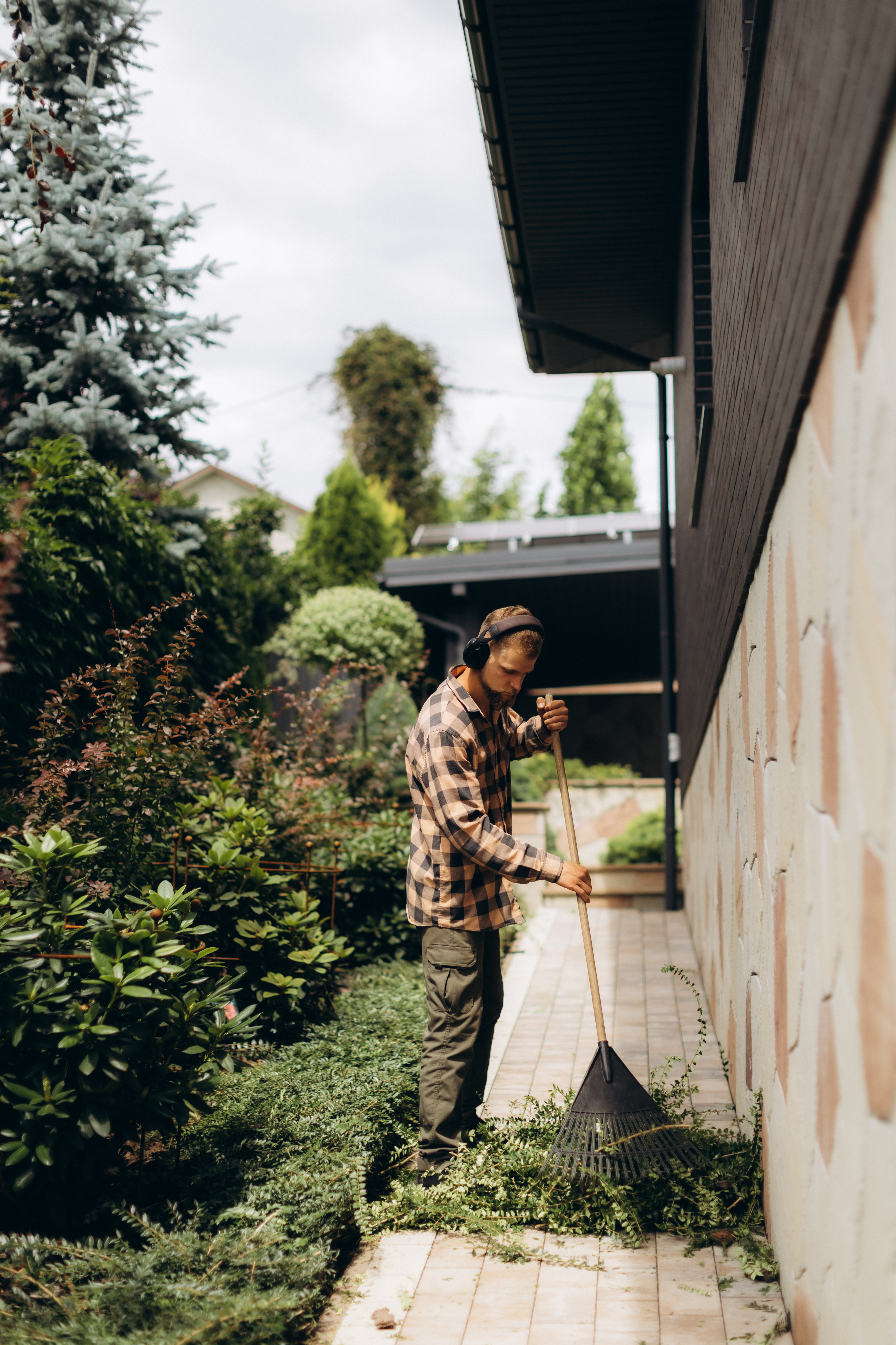 Man wearing headphones and plaid shirt, tidying a home garden with a rake, clearing green foliage from a paved path